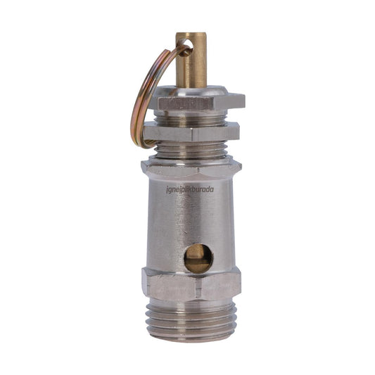 FDM Silter Ütü Kazanı Ventili Sy Kv 12 1/2